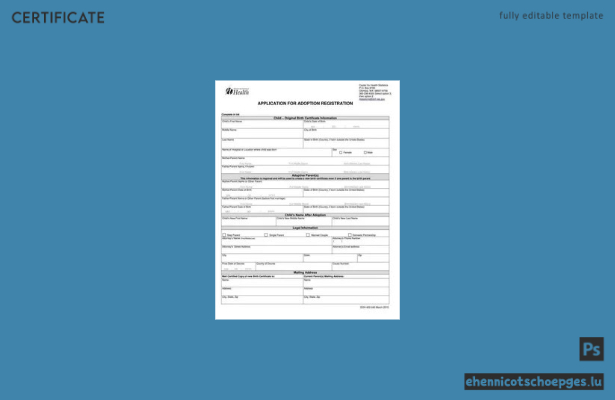 Beispiel für eine Adoptionsurkunde des New Yorker Registers für öffentliche Gesundheit
